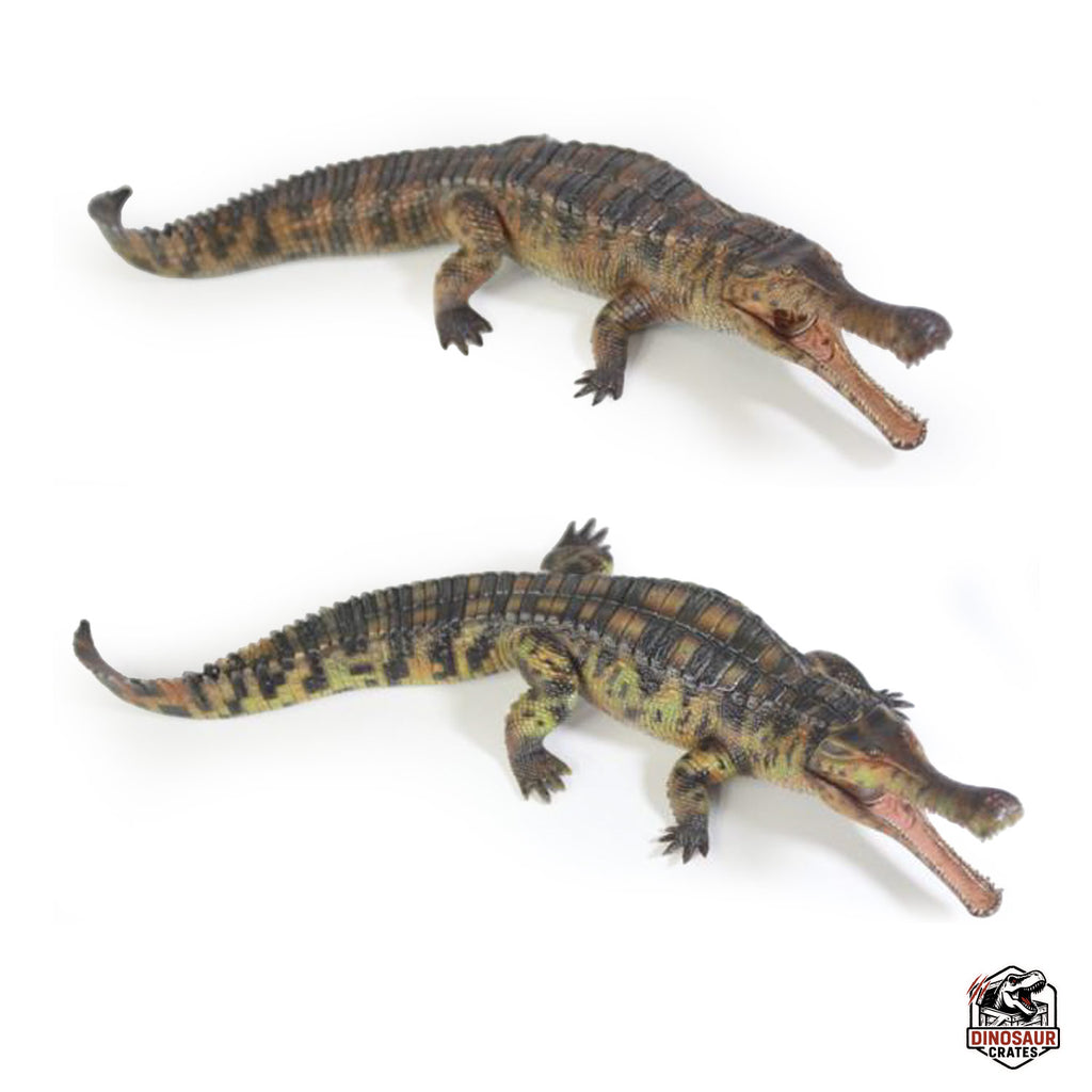 Haolonggood Sarcosuchus Imperator Figure (Pre-Order)