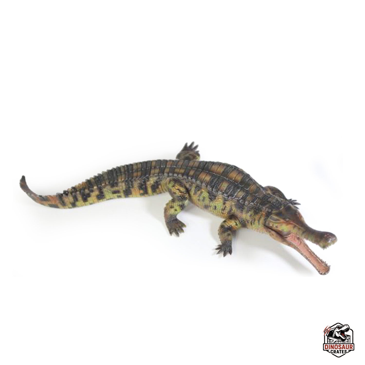 Haolonggood Sarcosuchus Imperator Figure (Pre-Order)