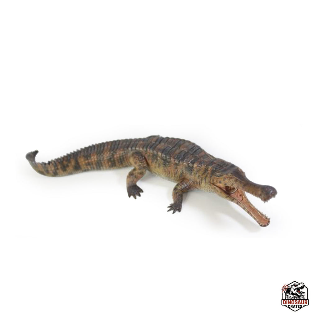Haolonggood Sarcosuchus Imperator Figure (Pre-Order)