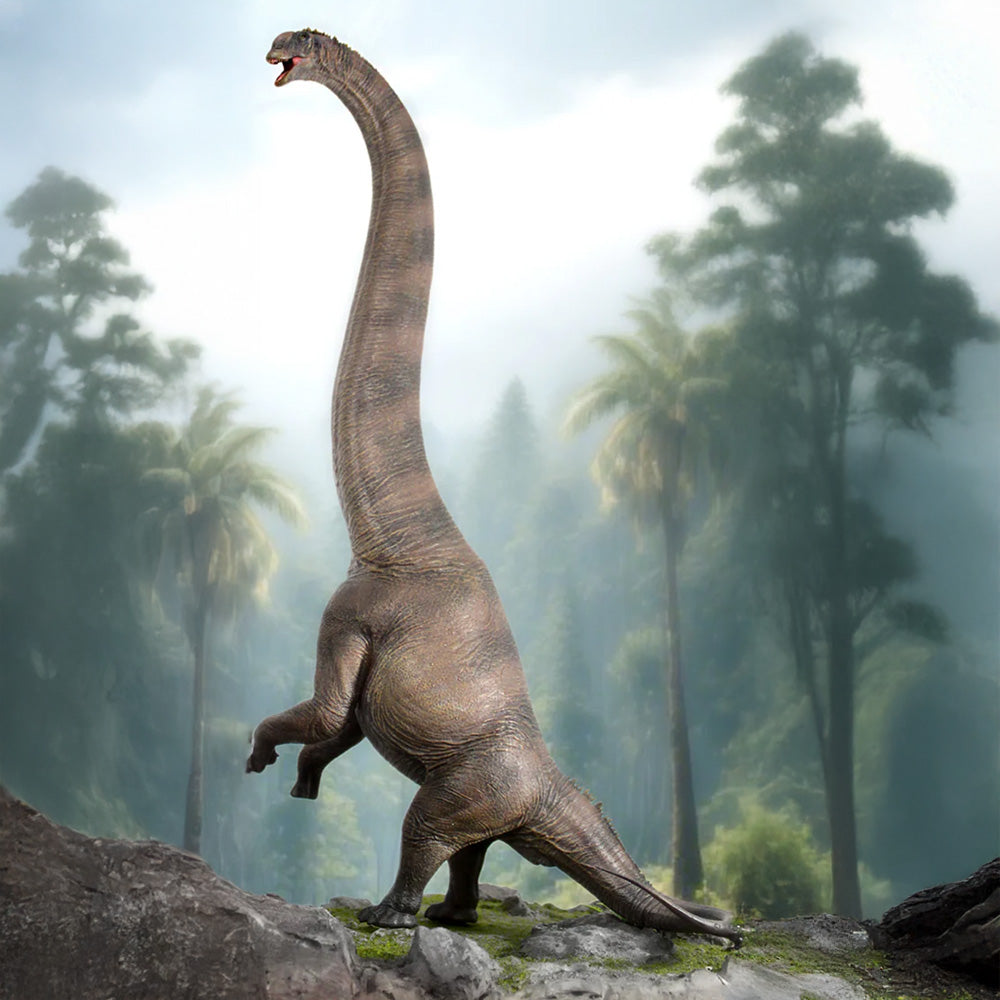 Haolonggood Sauroposeidon Dinosaur Figure - Presale