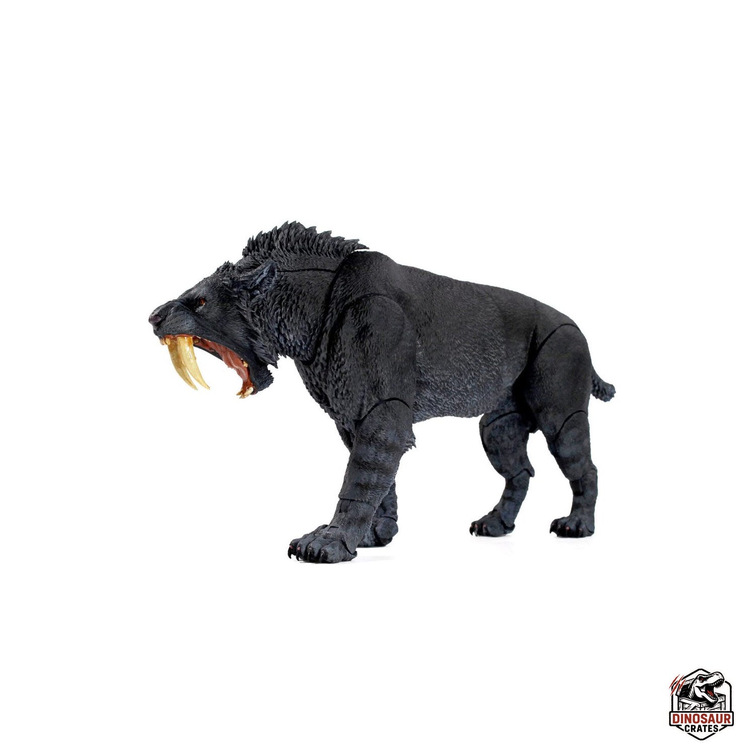 Smilodon populator (Black) - Beasts of the Cenozoic