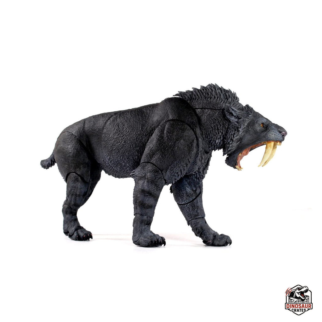 Smilodon populator (Black) - Beasts of the Cenozoic