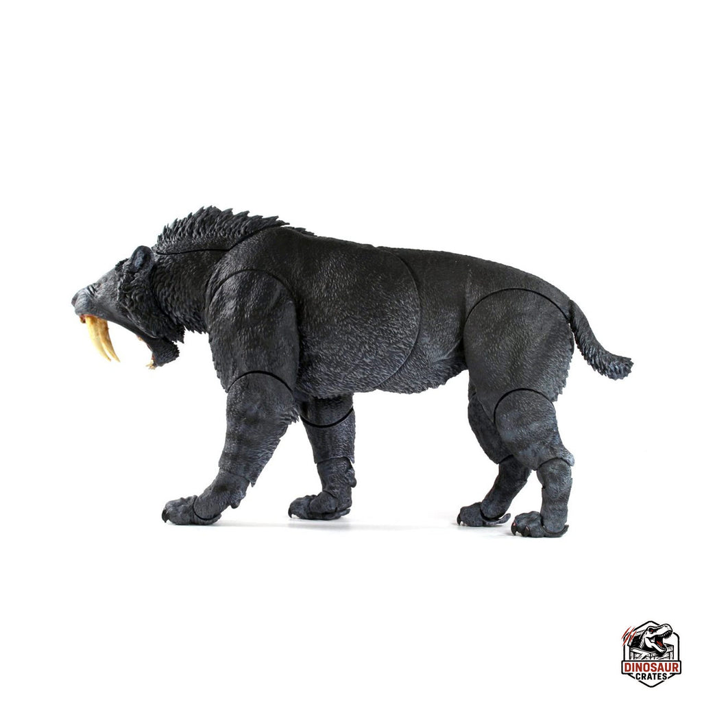 Smilodon populator (Black) - Beasts of the Cenozoic