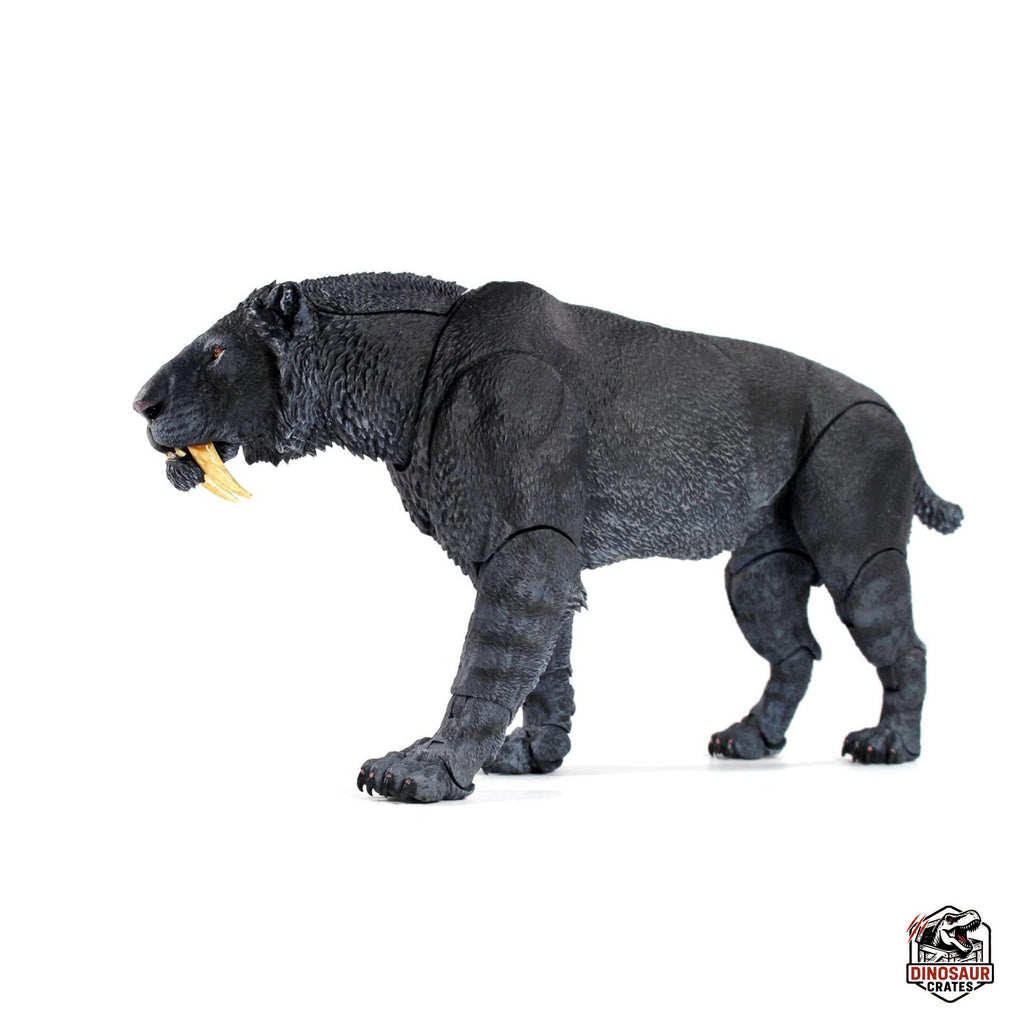 Smilodon populator (Black) - Beasts of the Cenozoic
