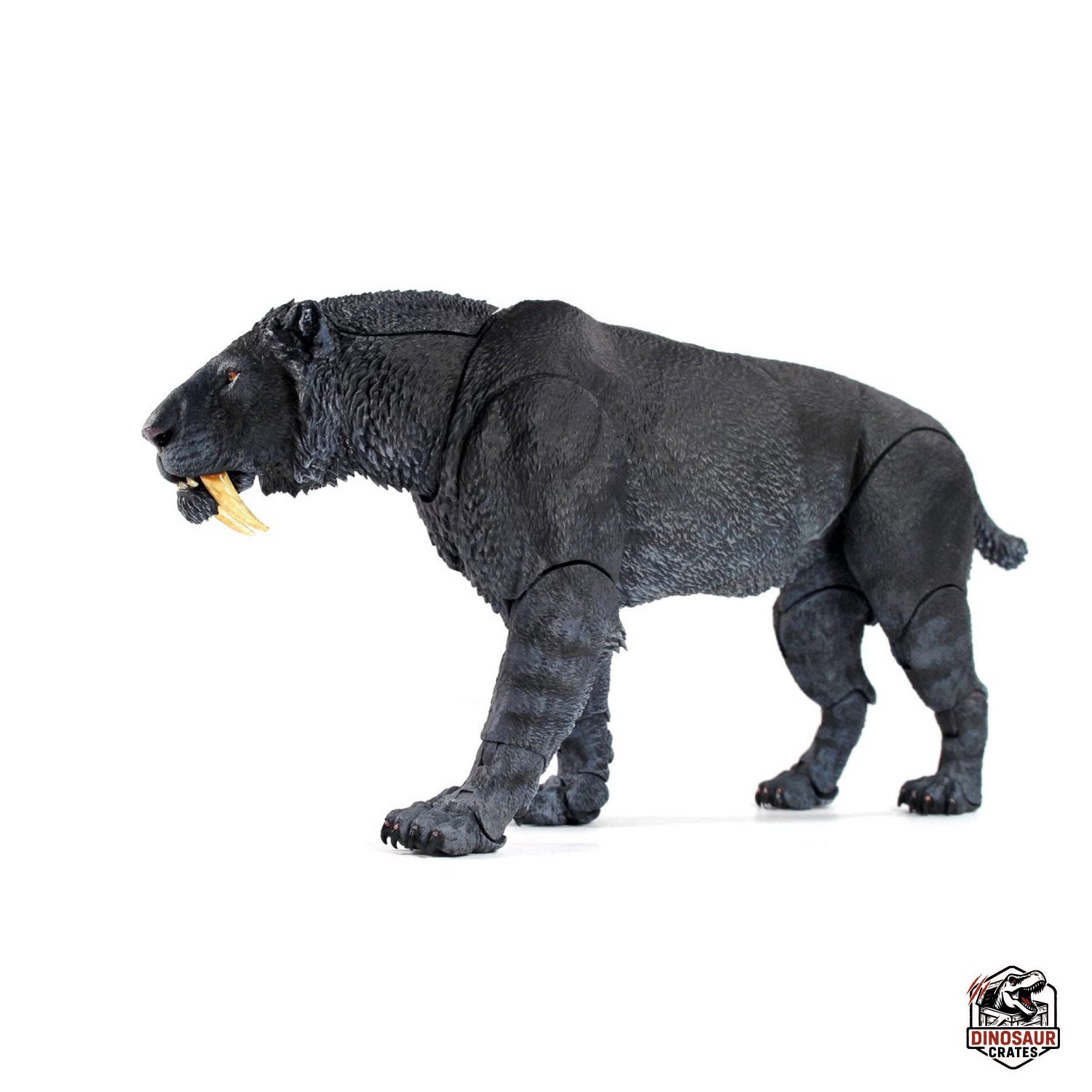 Smilodon populator (Black) - Beasts of the Cenozoic
