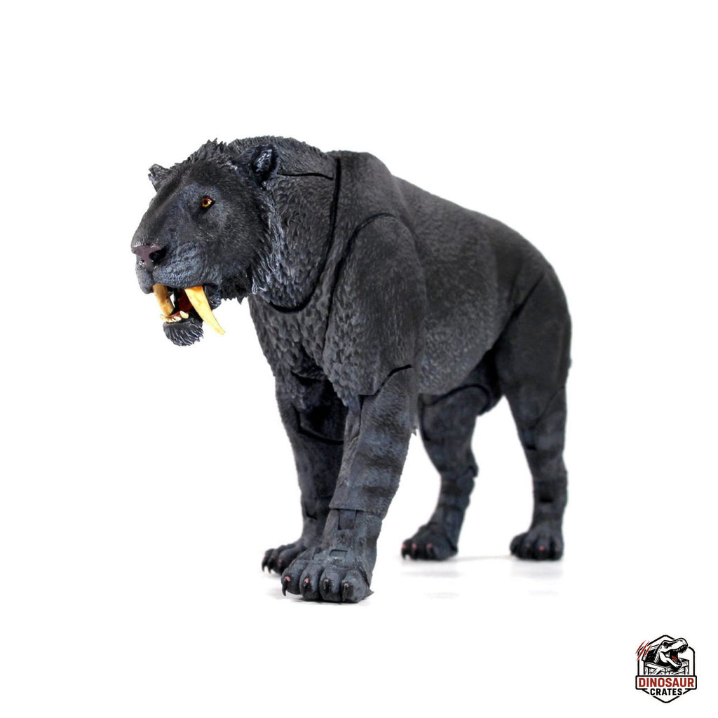Smilodon populator (Black) - Beasts of the Cenozoic