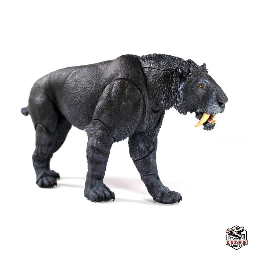 Smilodon populator (Black) - Beasts of the Cenozoic