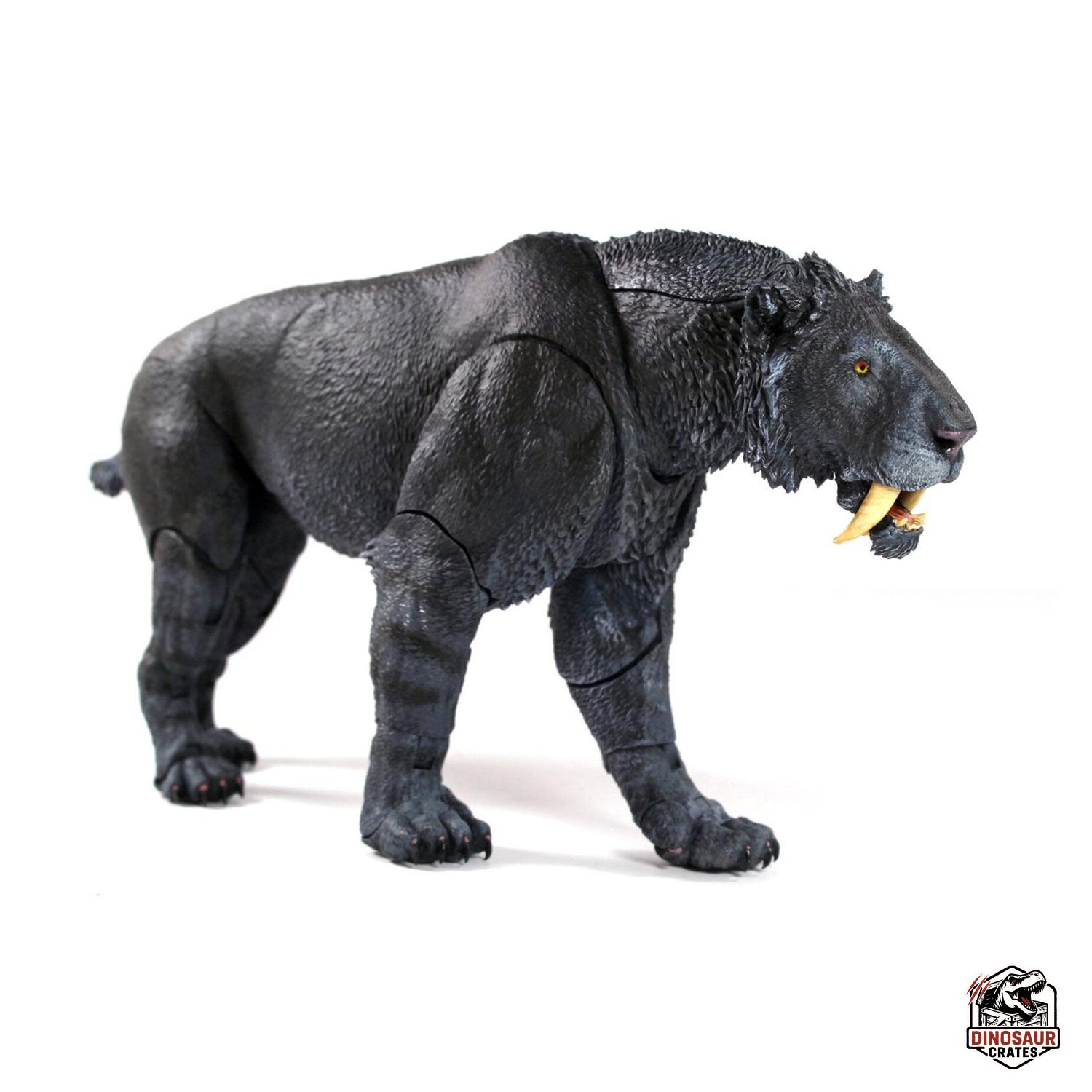 Smilodon populator (Black) - Beasts of the Cenozoic