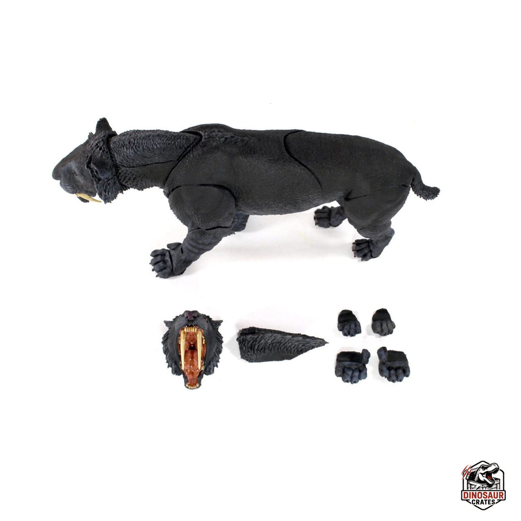 Smilodon populator (Black) - Beasts of the Cenozoic