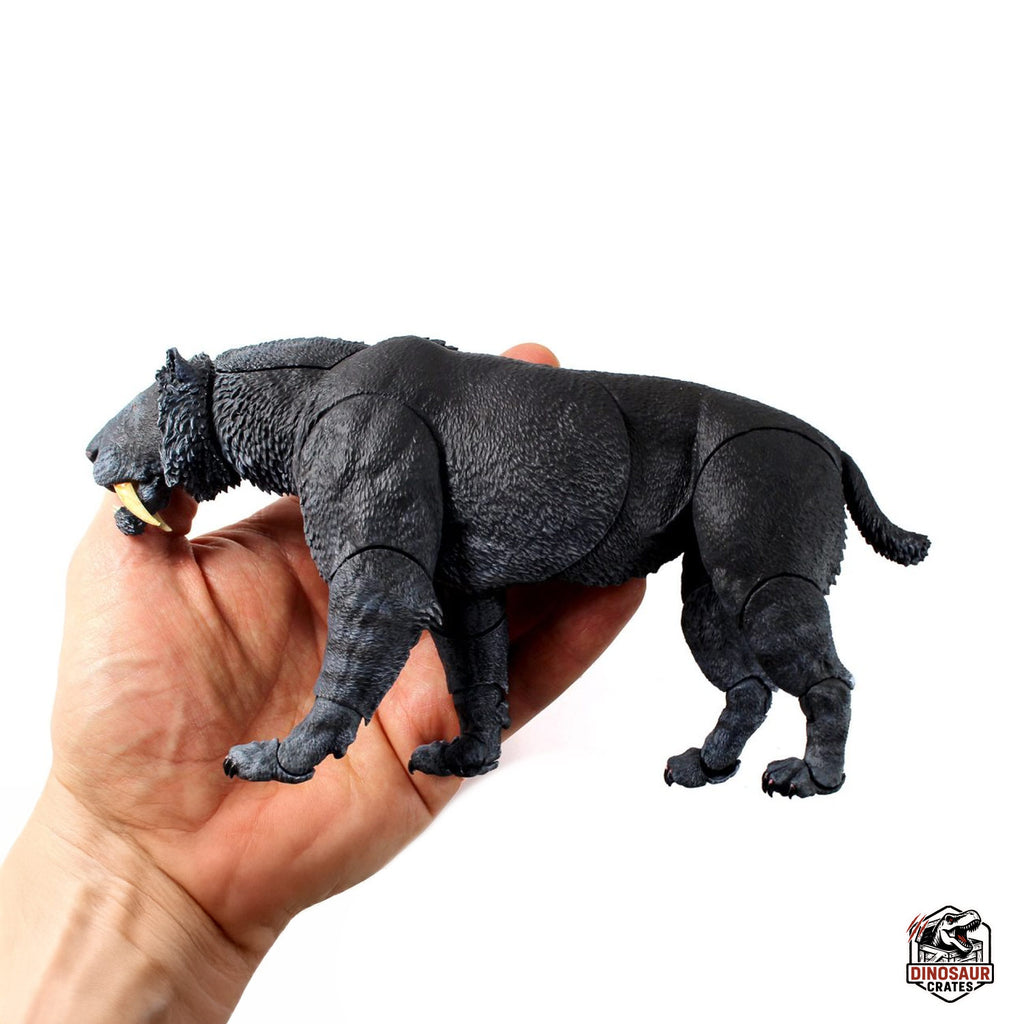 Smilodon populator (Black) - Beasts of the Cenozoic