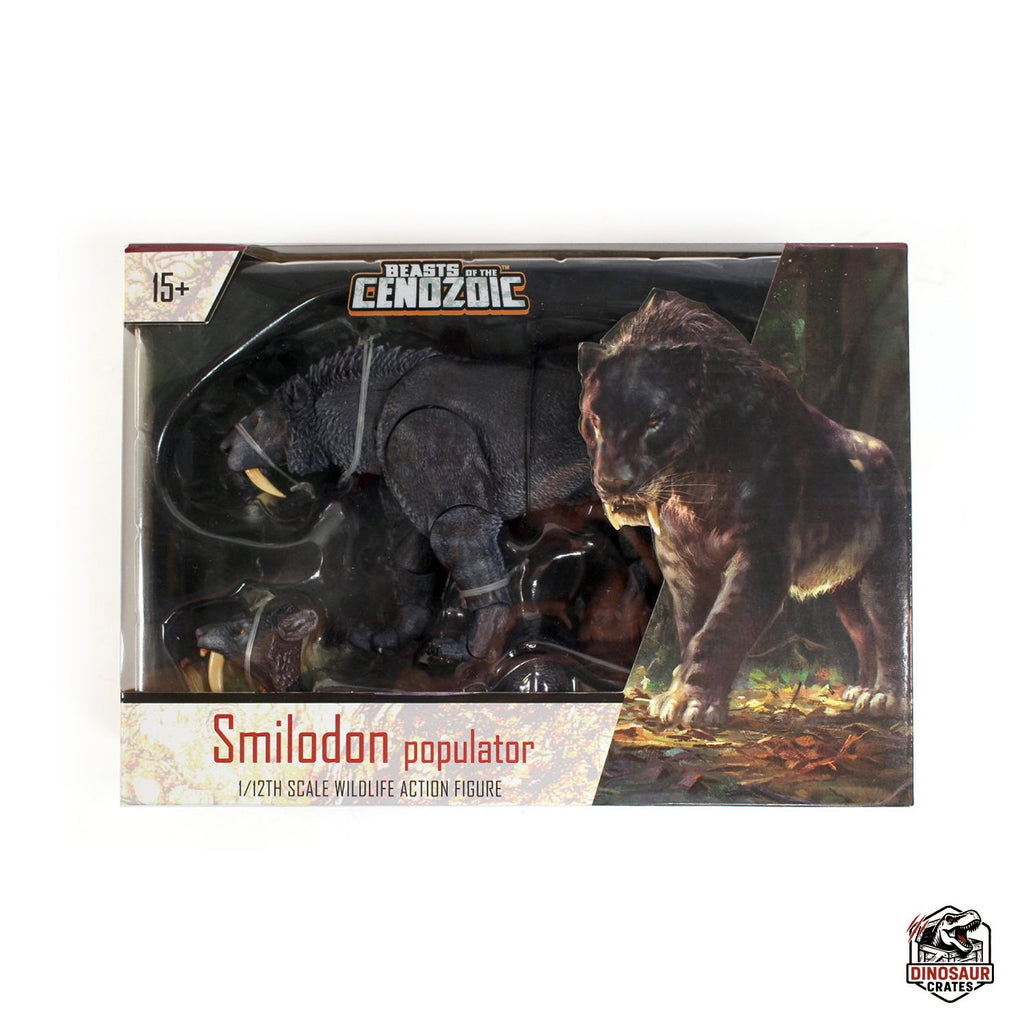 Smilodon populator (Black) - Beasts of the Cenozoic