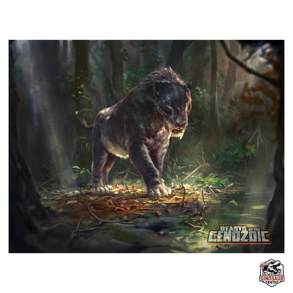 Smilodon populator (Black) - Beasts of the Cenozoic