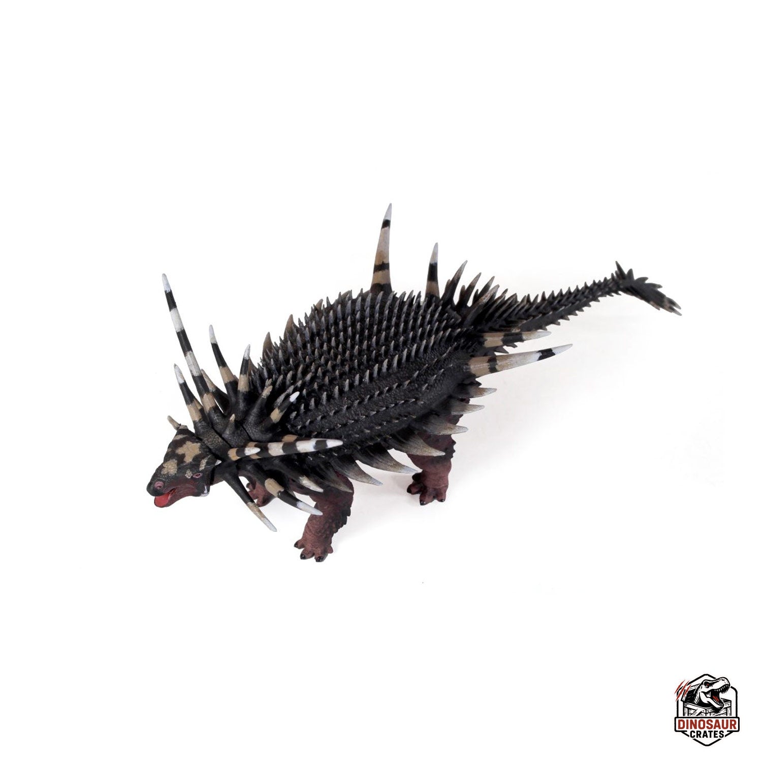 Spicomellus Afer  – Beasts of the Mesozoic (Pre-Order)