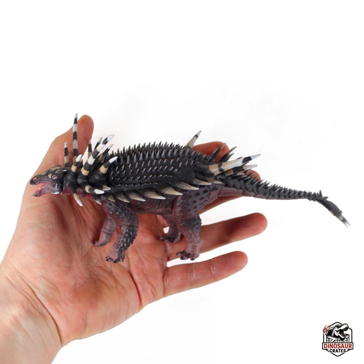 Spicomellus Afer  – Beasts of the Mesozoic (Pre-Order)