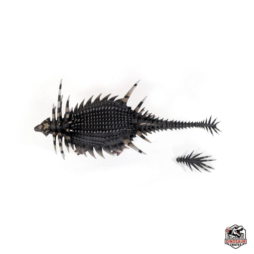 Spicomellus Afer – Bêtes du Mésozoïque (Précommande)