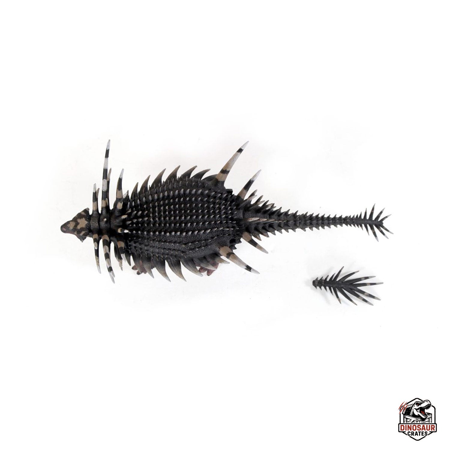 Spicomellus Afer  – Beasts of the Mesozoic (Pre-Order)