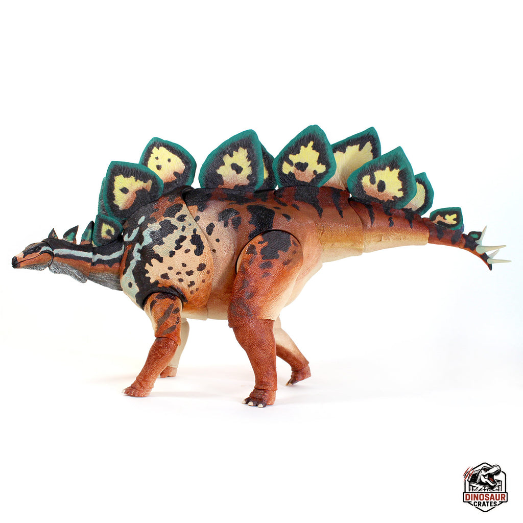 Stegosaurus stenops – Bêtes du Mésozoïque