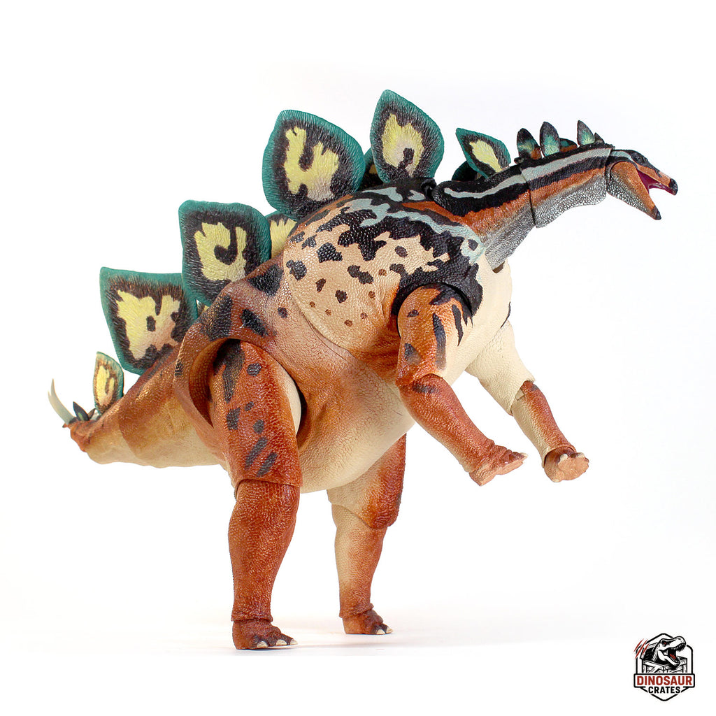 Stegosaurus stenops – Bêtes du Mésozoïque
