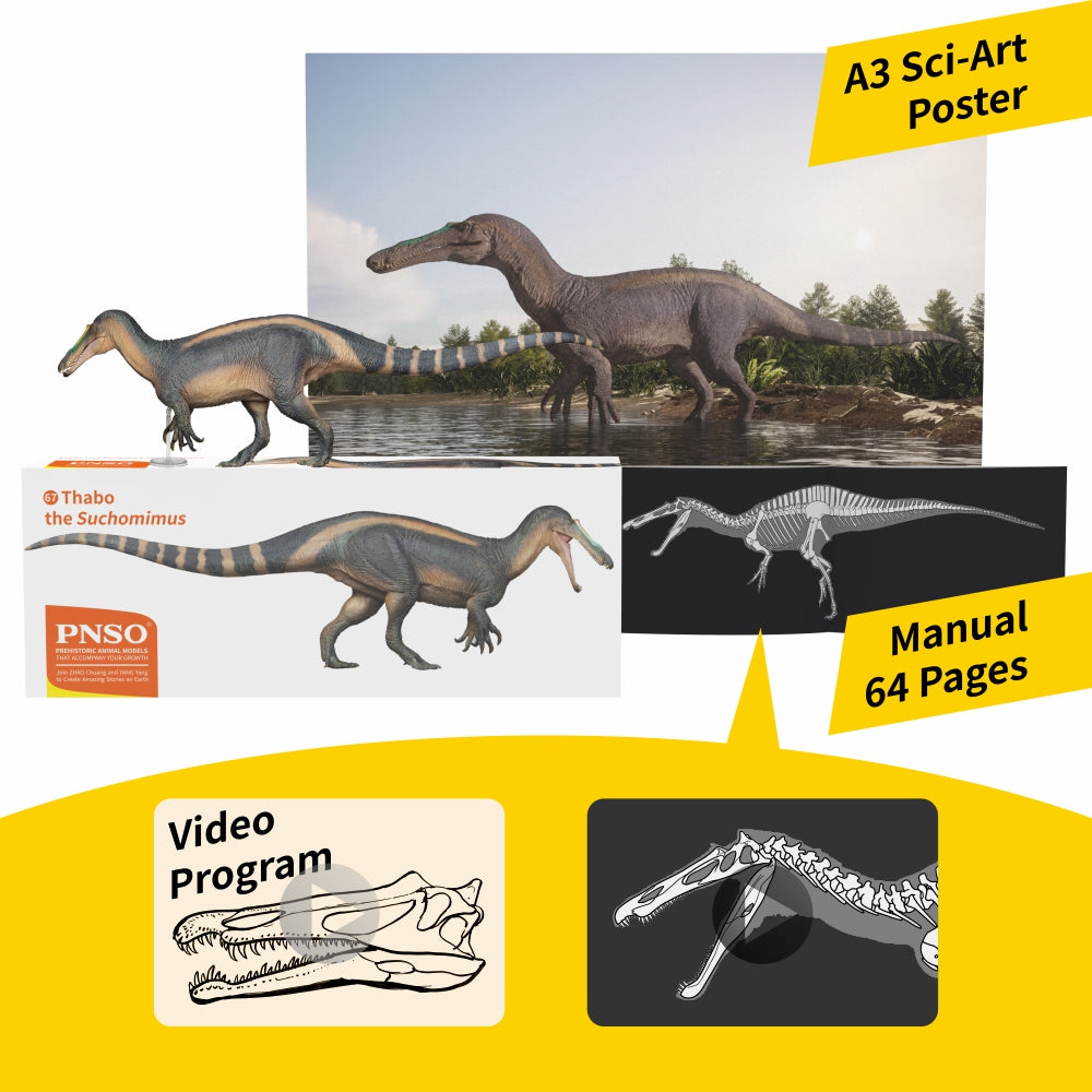 PNSO Thabo the Suchomimus (PRE-ORDER)