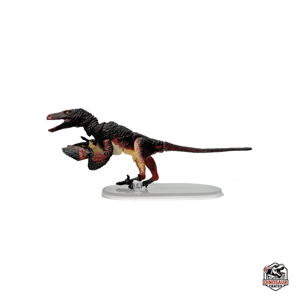 Velociraptor mongoliensis – Beasts of the Mesozoic