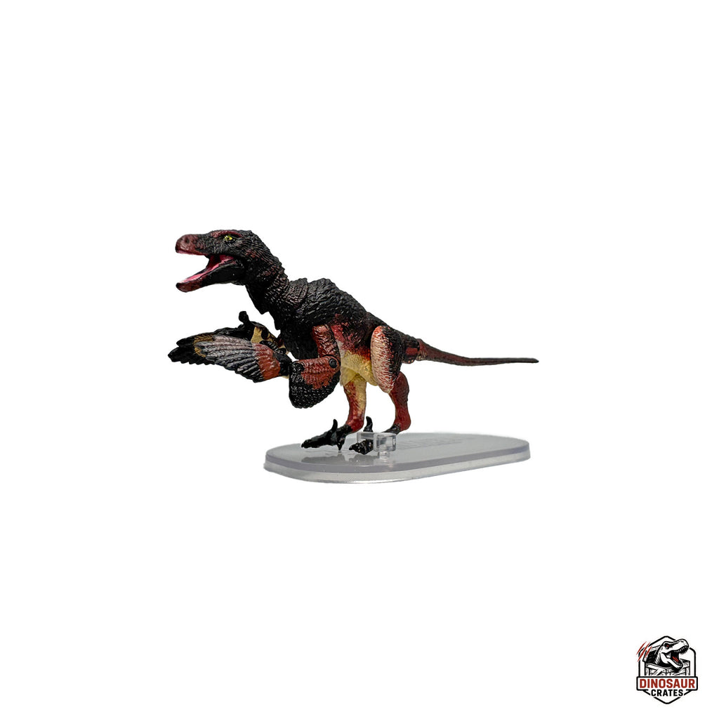 Velociraptor mongoliensis – Beasts of the Mesozoic