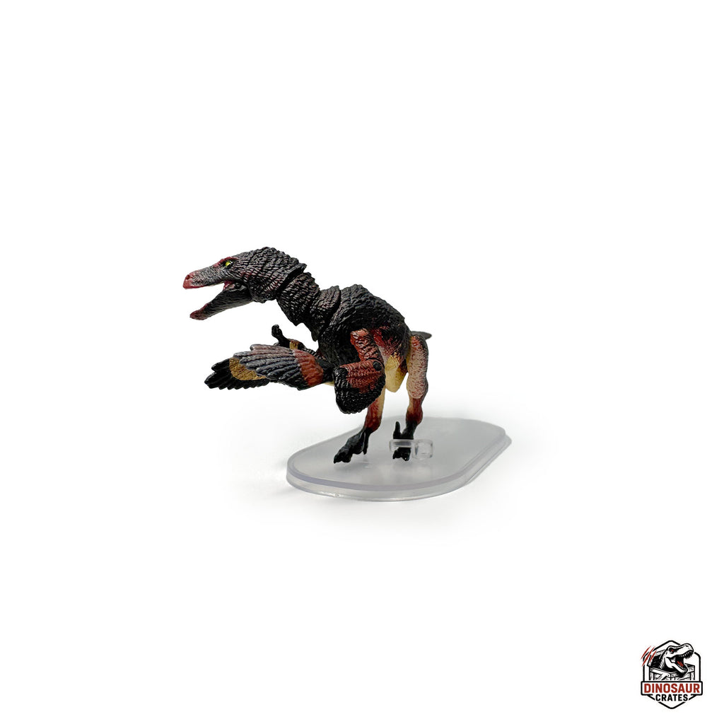 Velociraptor mongoliensis – Beasts of the Mesozoic