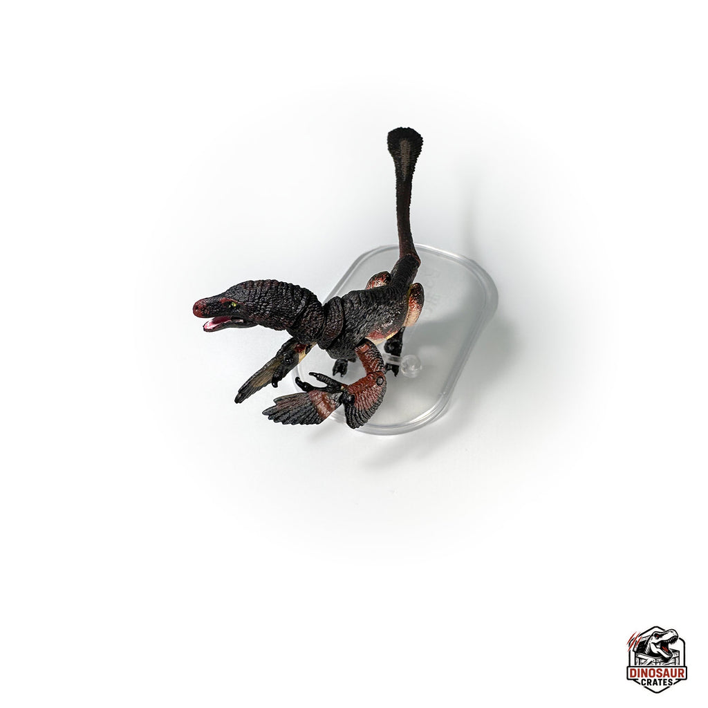 Velociraptor mongoliensis – Beasts of the Mesozoic