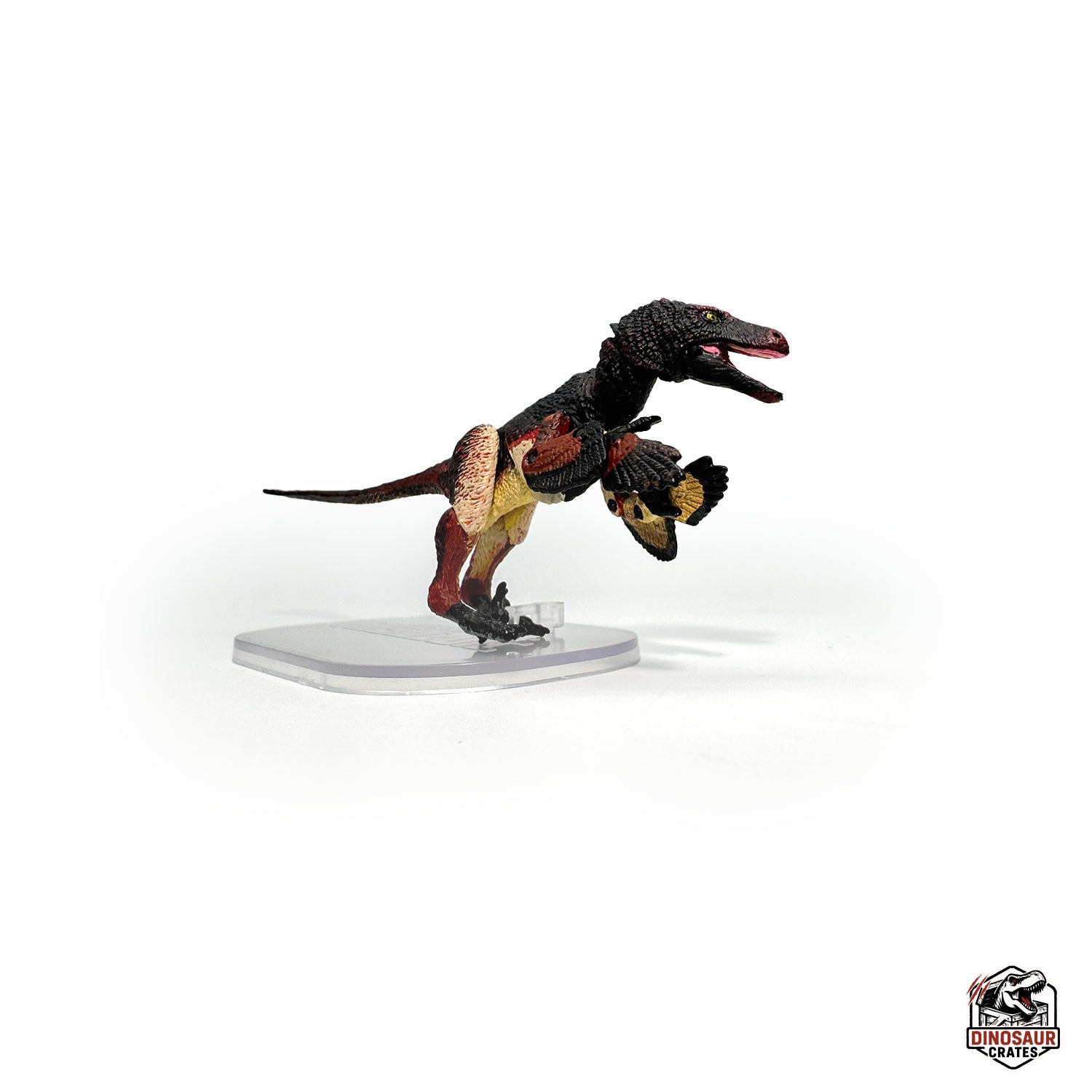 Velociraptor mongoliensis – Beasts of the Mesozoic