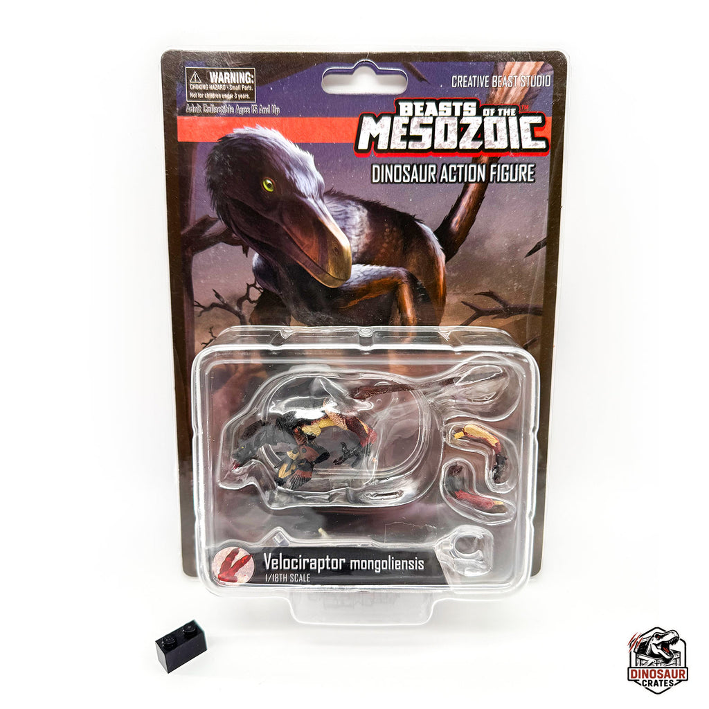Velociraptor mongoliensis – Beasts of the Mesozoic