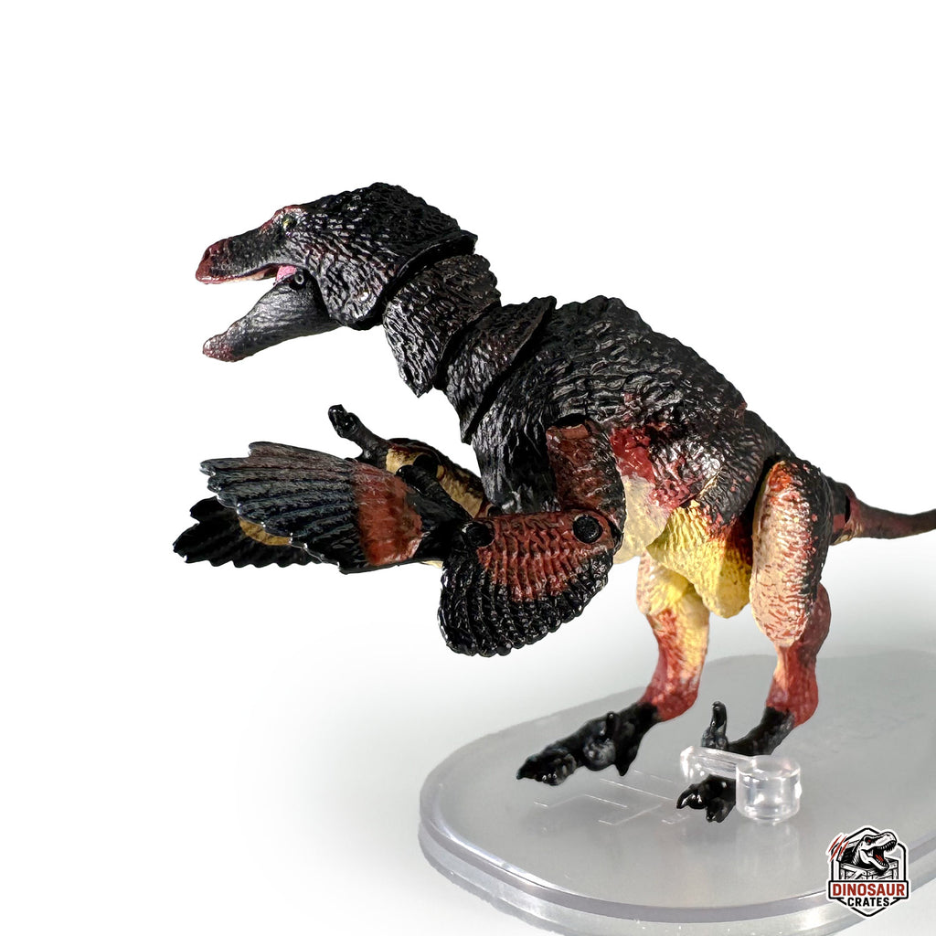 Velociraptor mongoliensis – Beasts of the Mesozoic