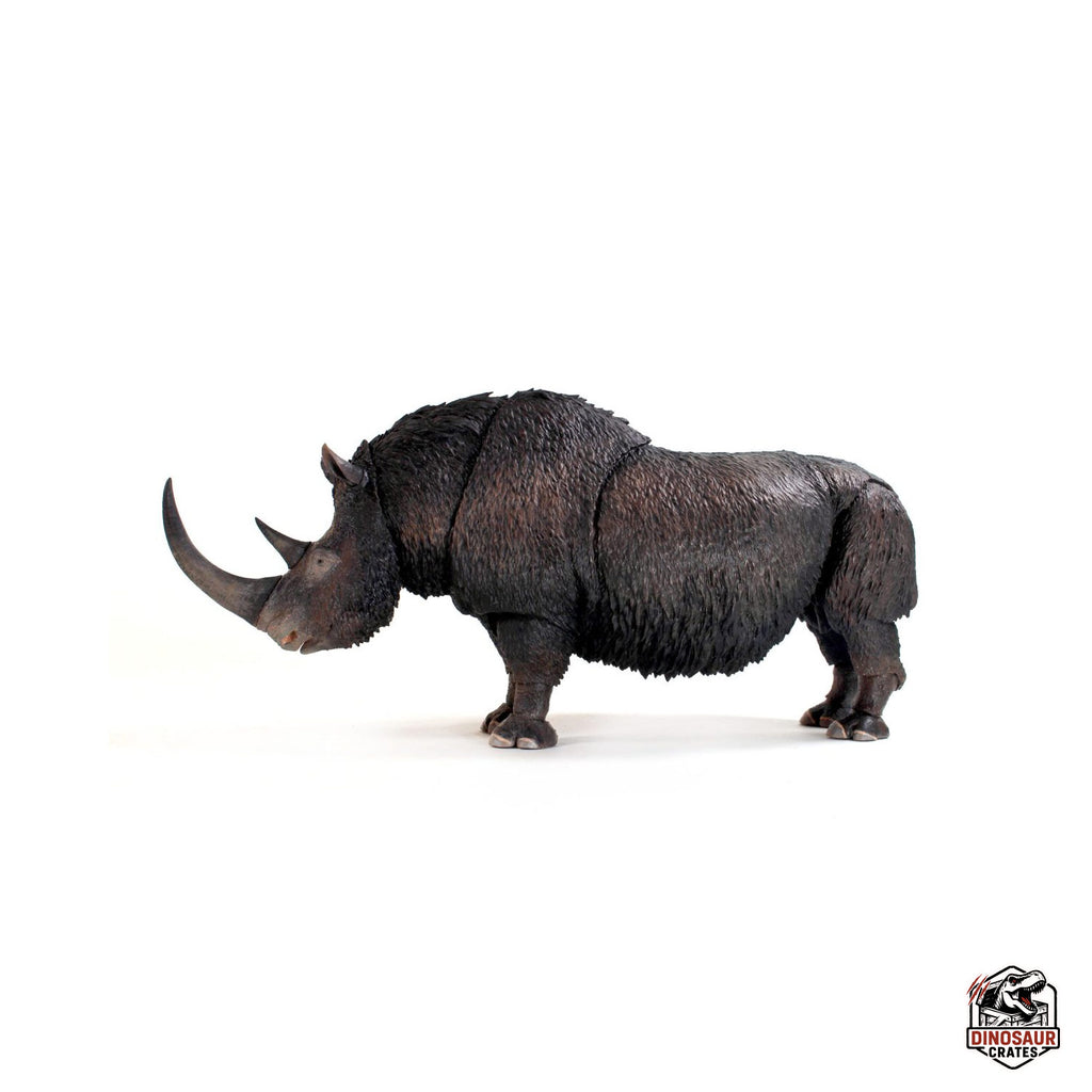 Rhinocéros laineux (Coelodonta antiquitatis) - Bêtes du Cénozoïque (Précommande)