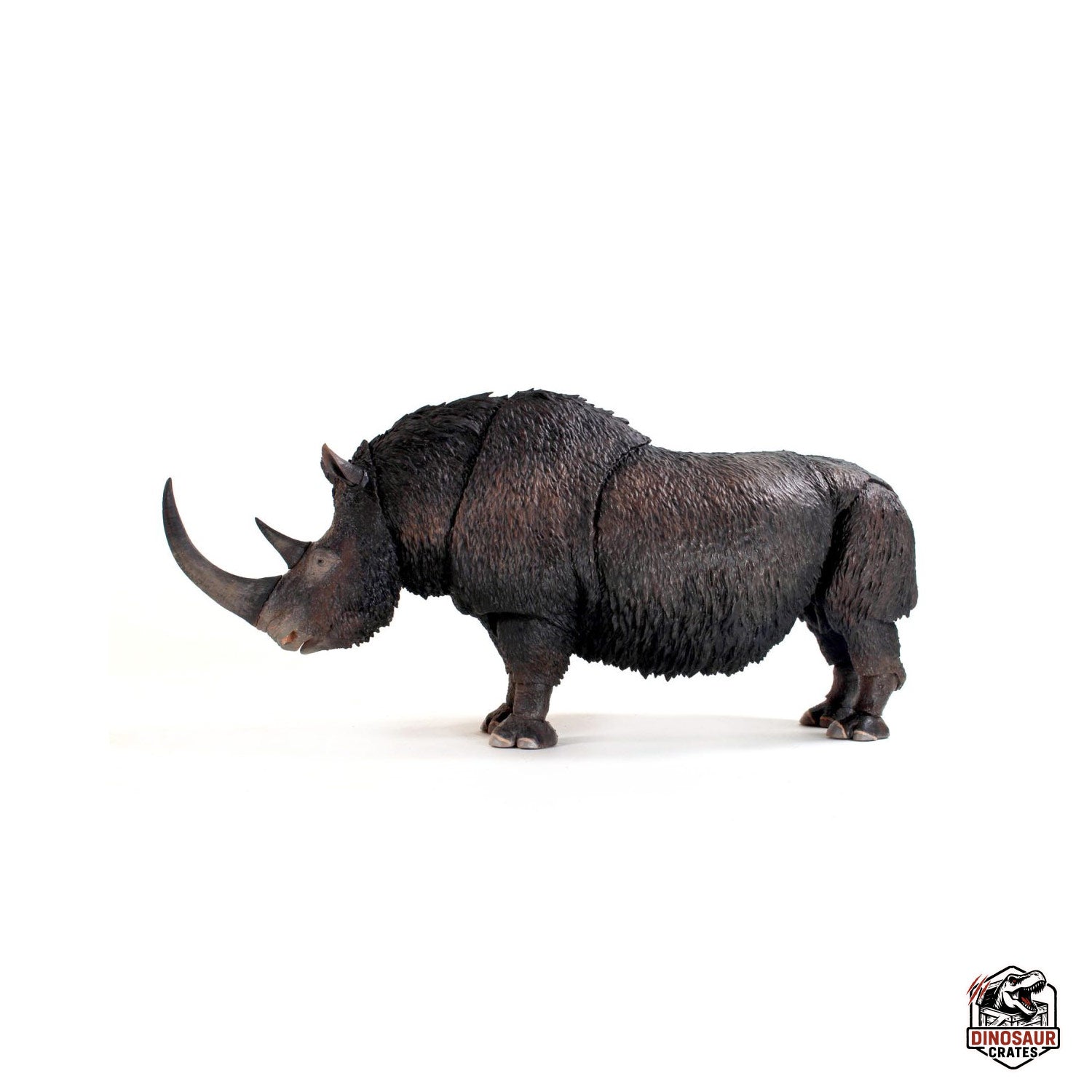 Woolly Rhino (Coelodonta antiquitatis) - Beasts of the Cenozoic (Pre-Order)