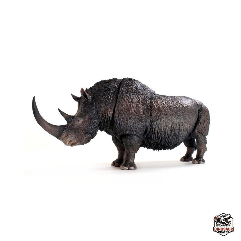 Rhinocéros laineux (Coelodonta antiquitatis) - Bêtes du Cénozoïque (Précommande)
