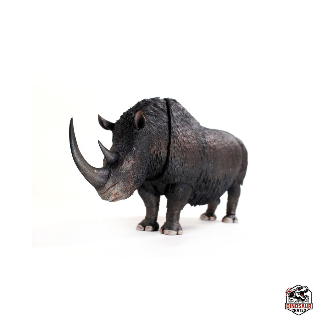 Rhinocéros laineux (Coelodonta antiquitatis) - Bêtes du Cénozoïque (Précommande)