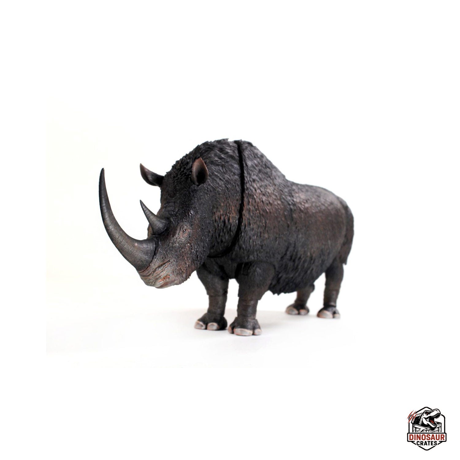 Woolly Rhino (Coelodonta antiquitatis) - Beasts of the Cenozoic (Pre-Order)