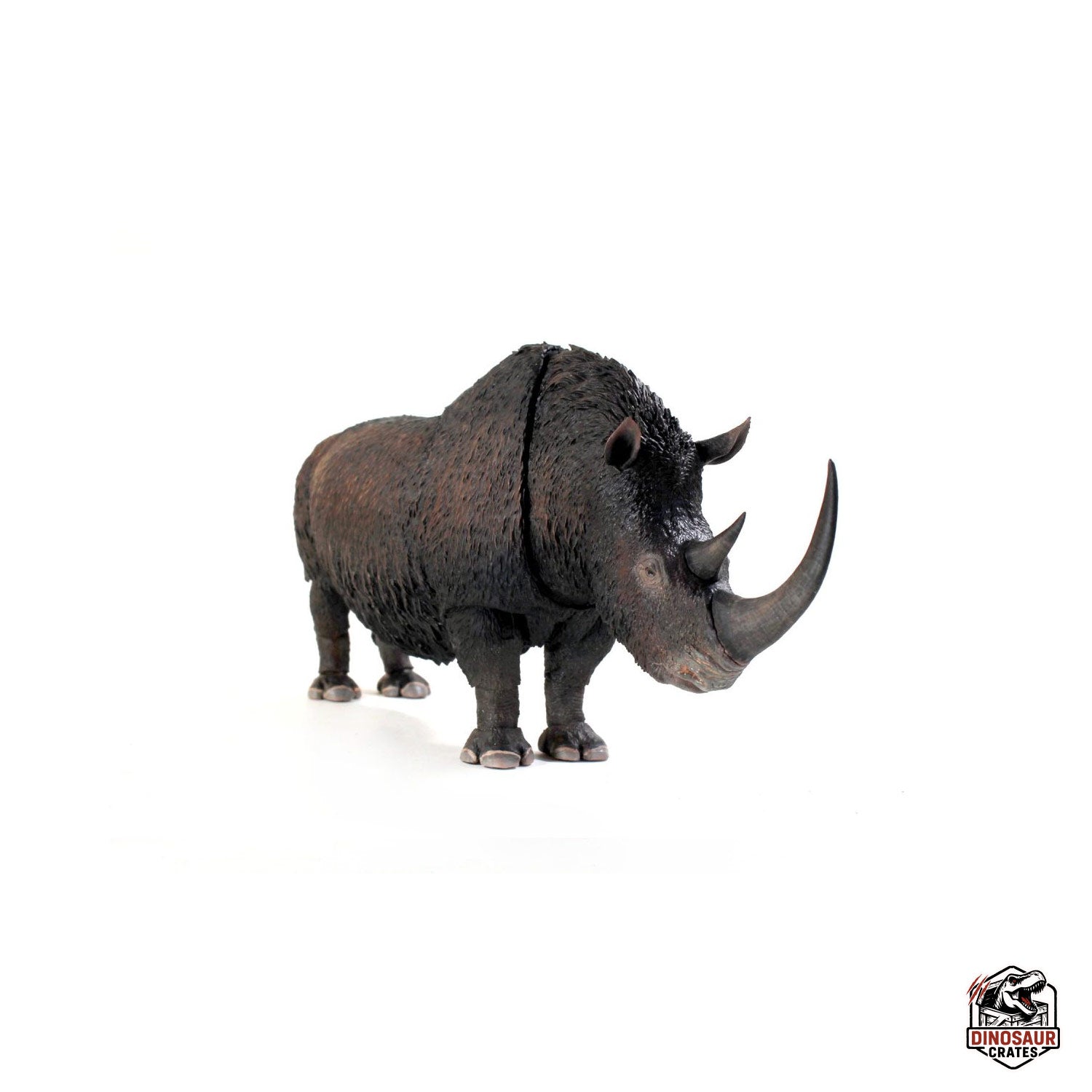 Woolly Rhino (Coelodonta antiquitatis) - Beasts of the Cenozoic (Pre-Order)