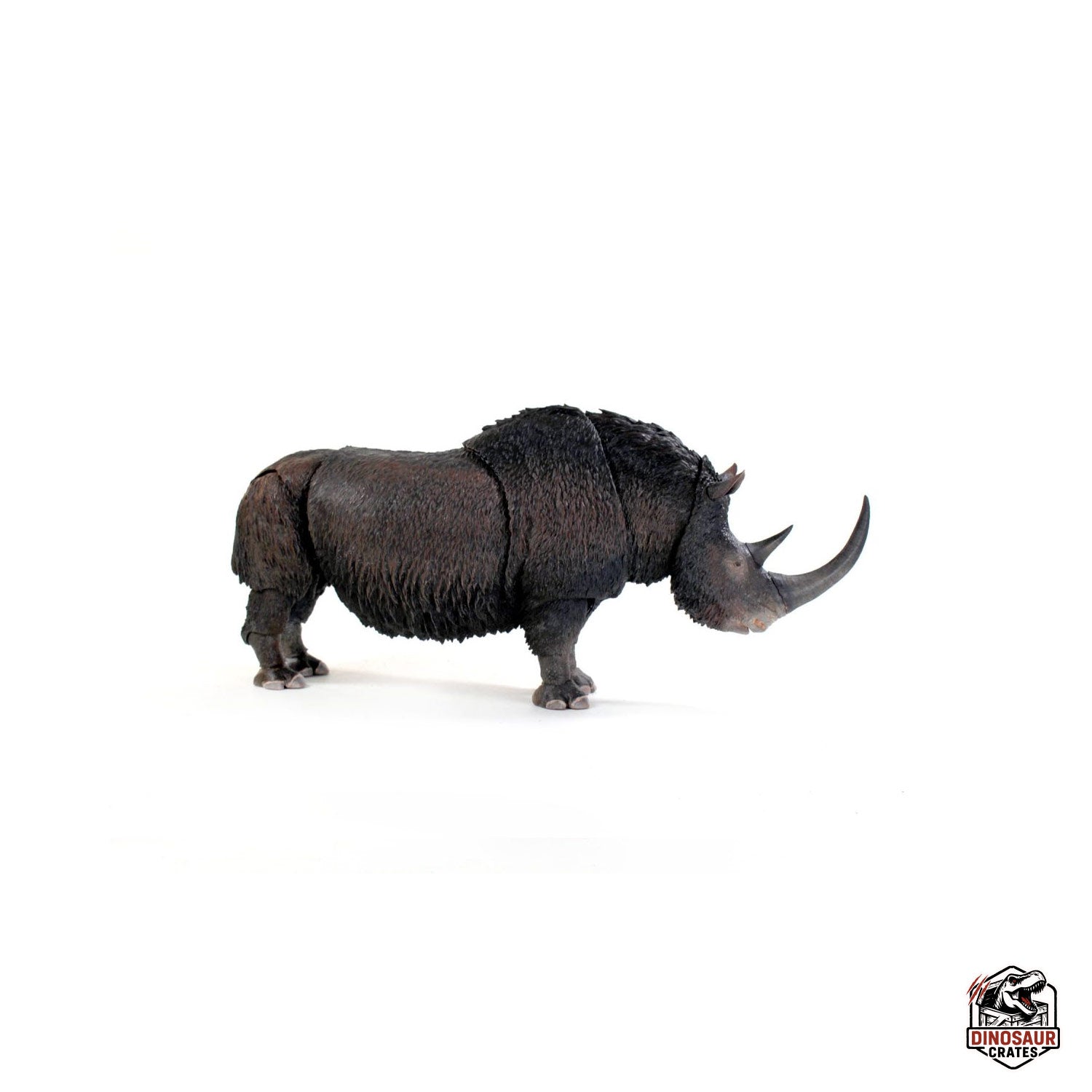 Woolly Rhino (Coelodonta antiquitatis) - Beasts of the Cenozoic (Pre-Order)