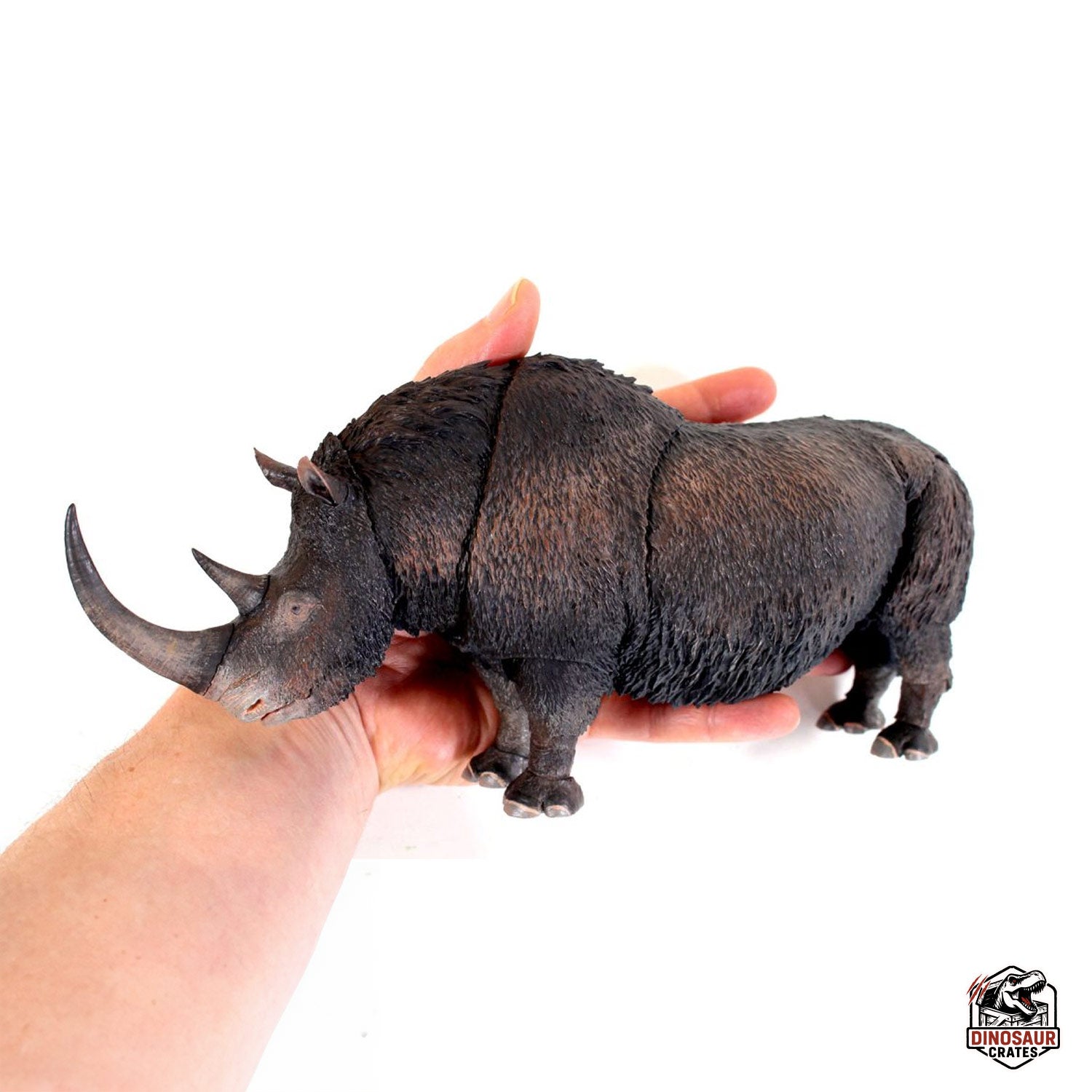 Woolly Rhino (Coelodonta antiquitatis) - Beasts of the Cenozoic (Pre-Order)