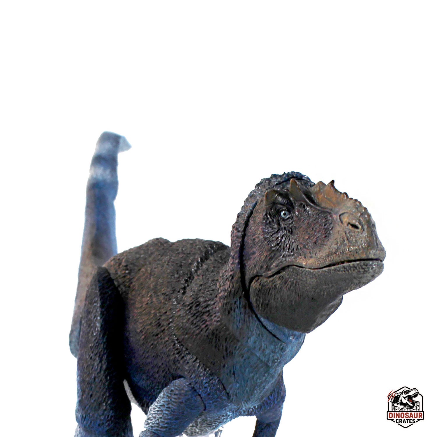 Yutyrannus Huali – Blue – Cyberzoic (Pre-Order)