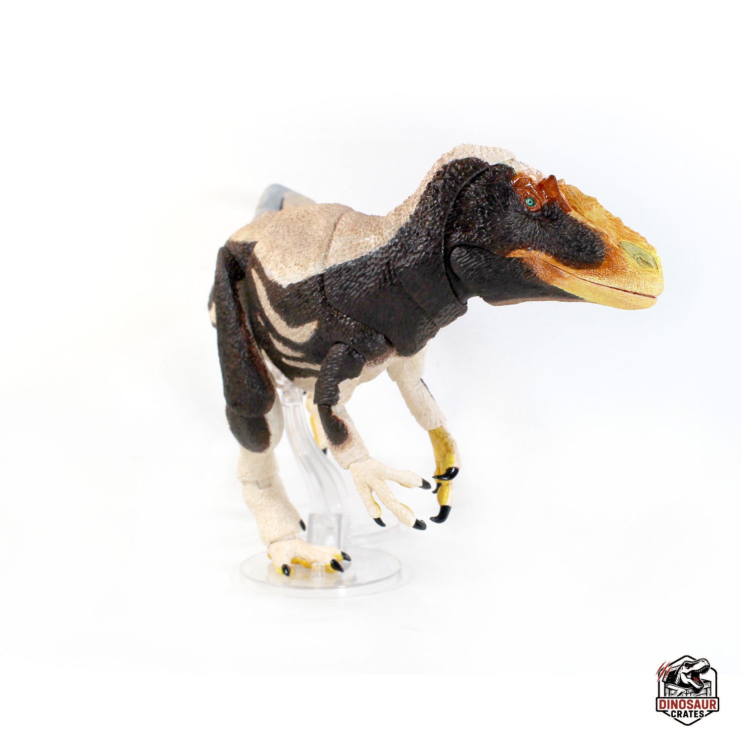 Yutyrannus Huali – Vers.2 – Beasts of the Mesozoic (Pre-Order)