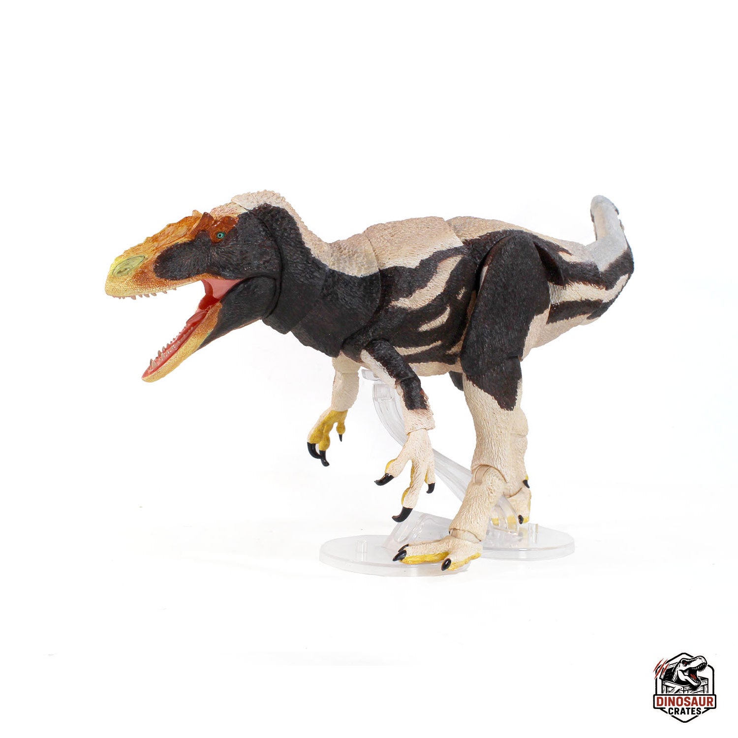 Yutyrannus Huali – Vers.2 – Beasts of the Mesozoic (Pre-Order)