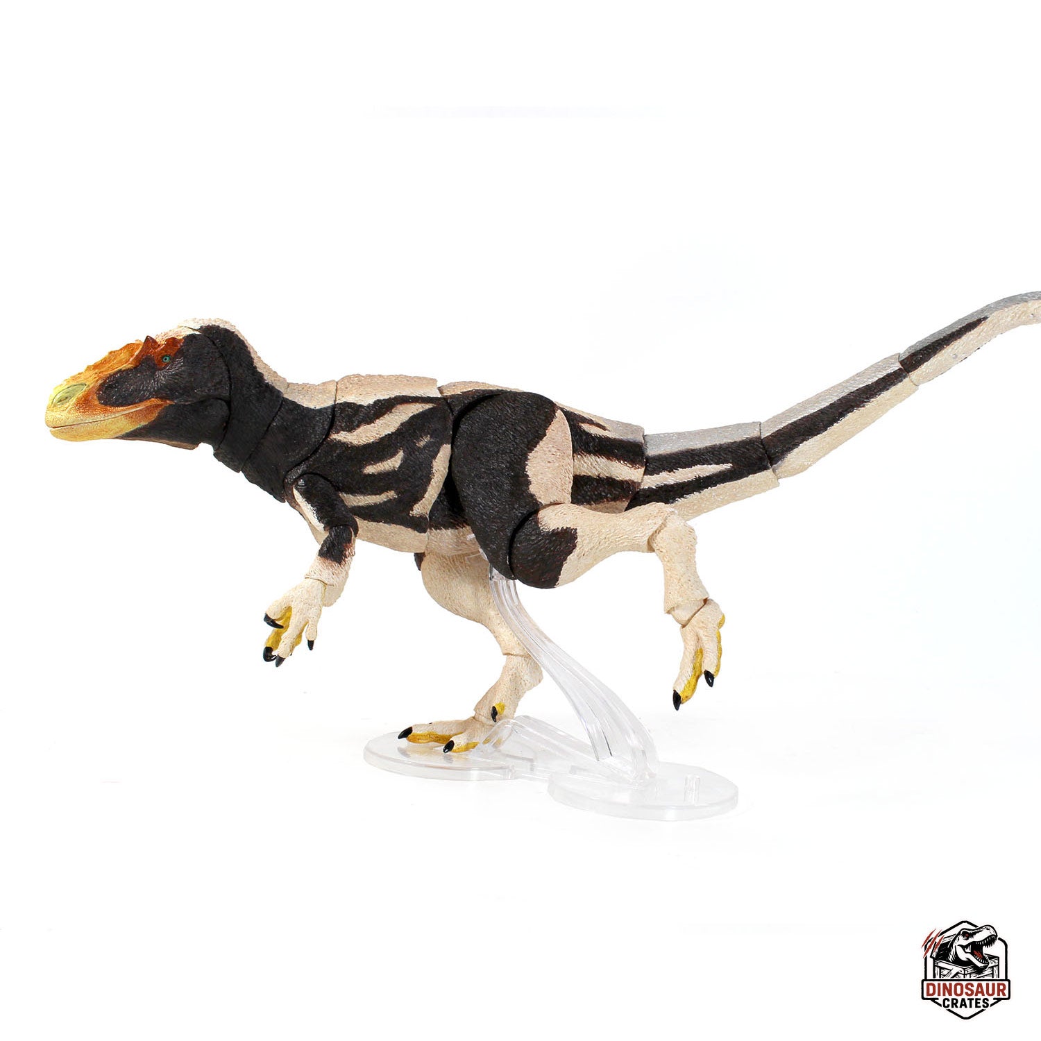 Yutyrannus Huali – Vers.2 – Beasts of the Mesozoic (Pre-Order)
