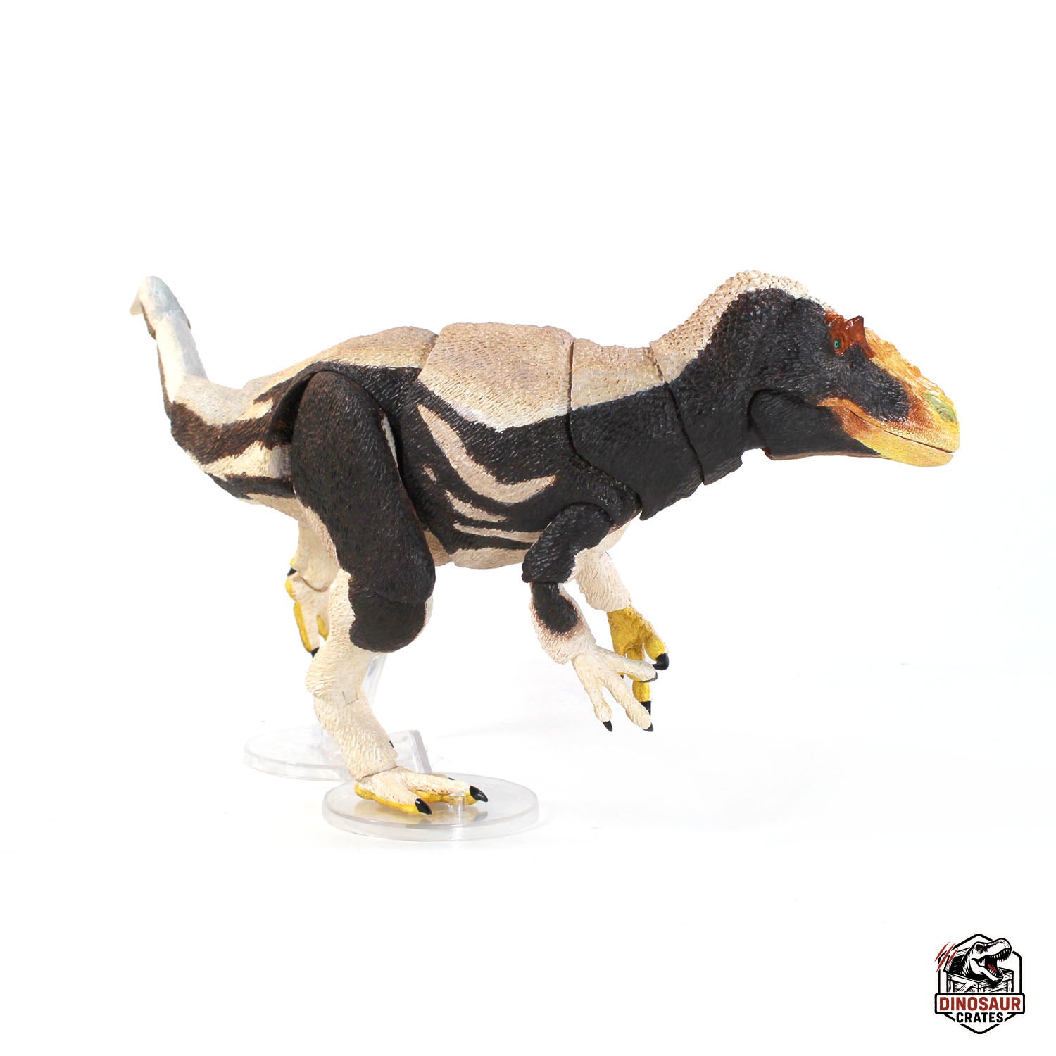 Yutyrannus Huali – Vers.2 – Beasts of the Mesozoic (Pre-Order)