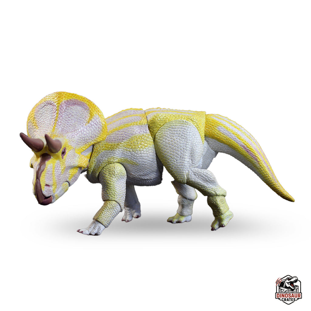Zuniceratops christopheri (version albinos) – Bêtes du Mésozoïque
