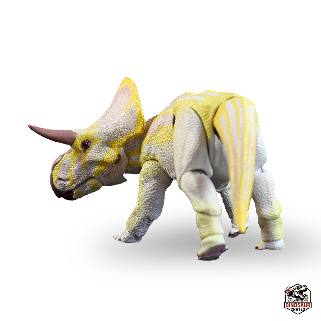 Zuniceratops christopheri (version albinos) – Bêtes du Mésozoïque