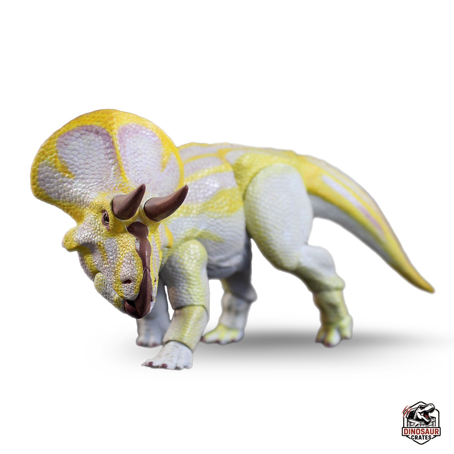 Zuniceratops christopheri (albino vers.) – Beasts of the Mesozoic