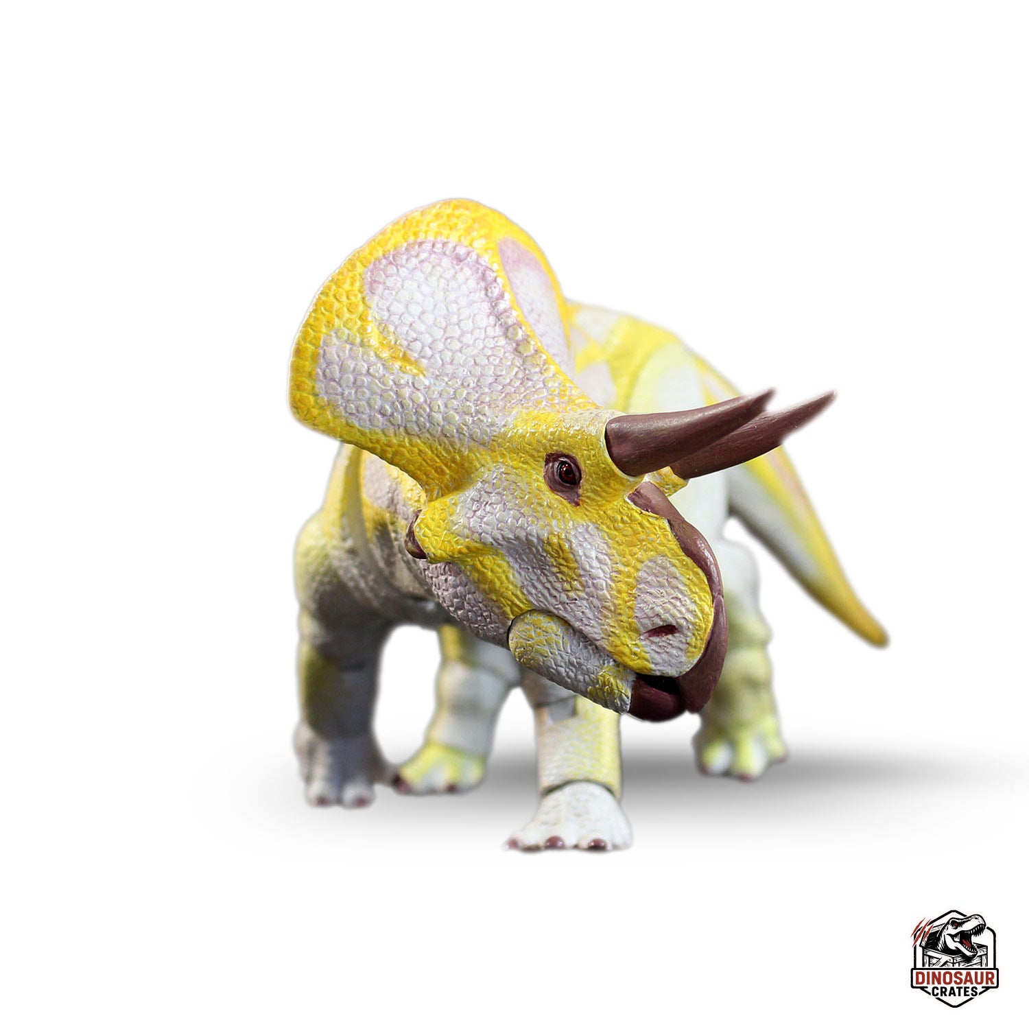 Zuniceratops christopheri (albino vers.) – Beasts of the Mesozoic