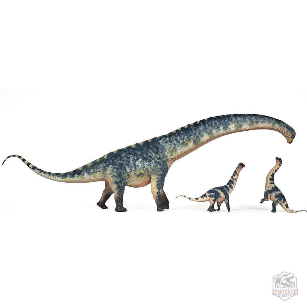Haolonggood Dreadnoughtus Blue