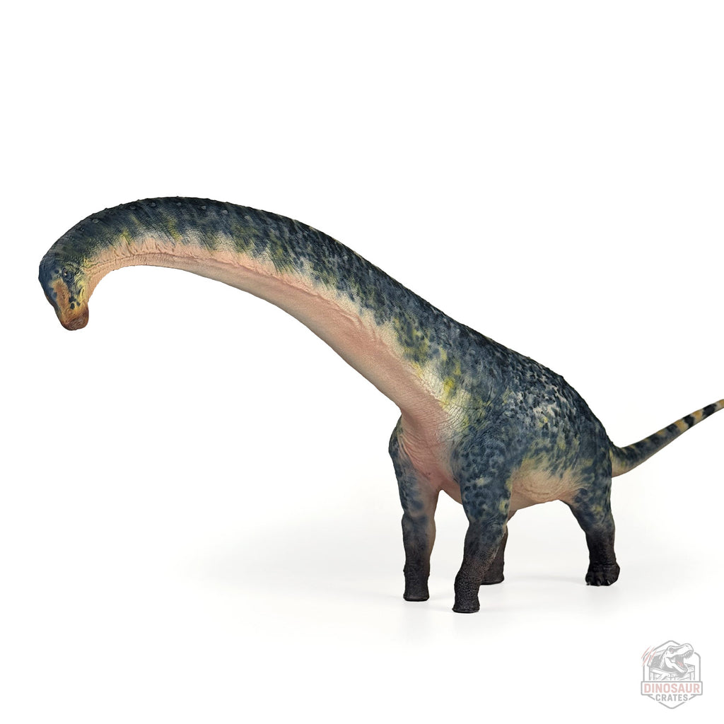 Haolonggood Dreadnoughtus Blue