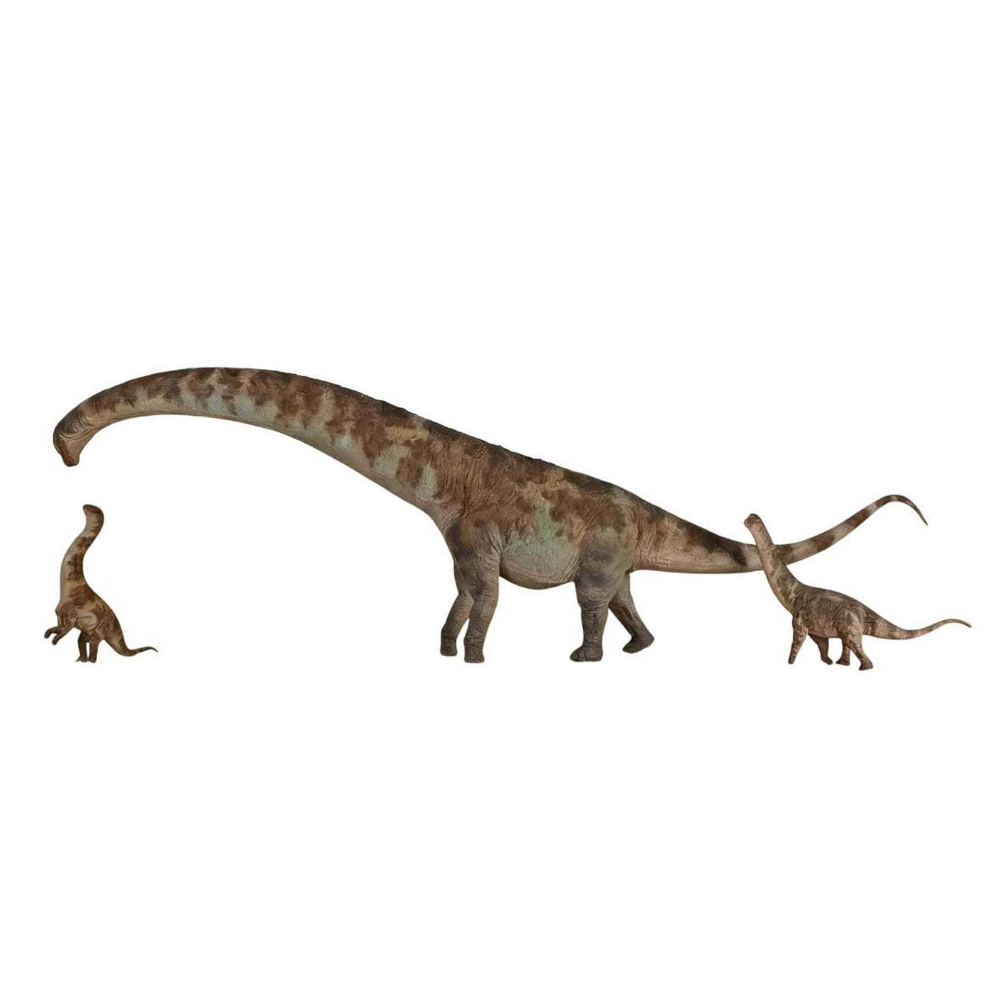 Haolonggood Dreadnoughtus Dinosaur Figure (Pre-order)